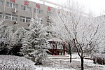雪后别趣