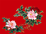 牡丹花