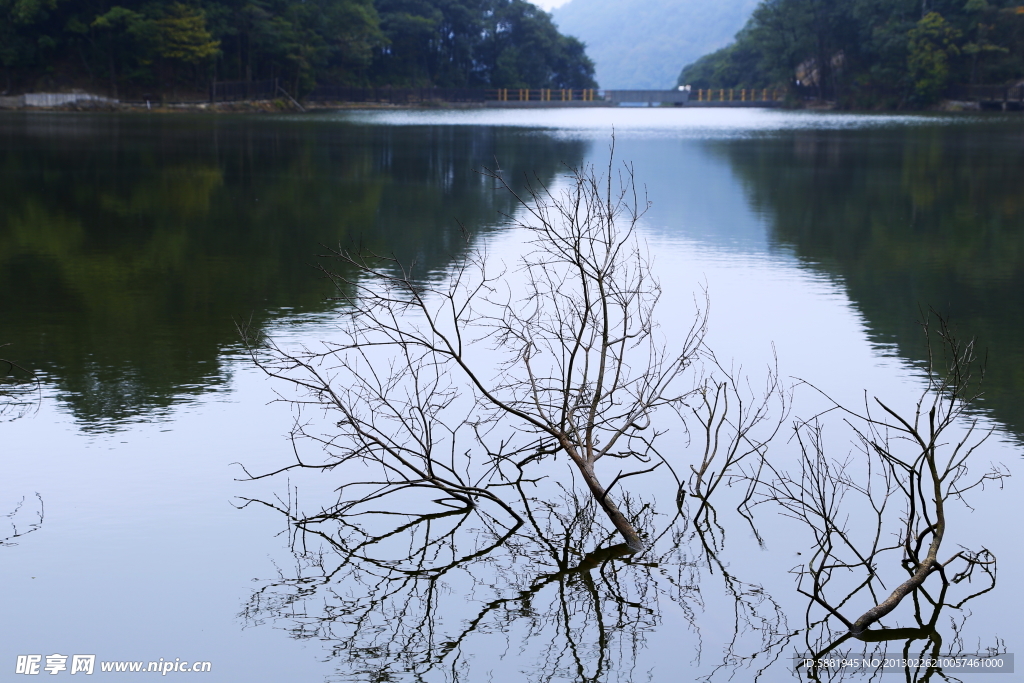 山水枯枝