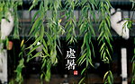 处暑季节