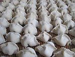 饺子