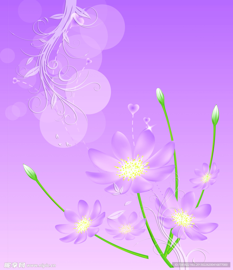 梦幻花