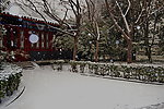 公园的冬天