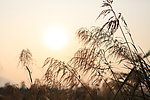 自然风景