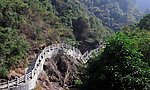 山路风景