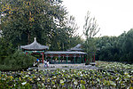清华大学