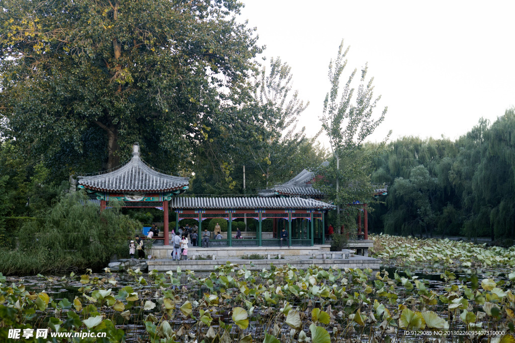 清华大学