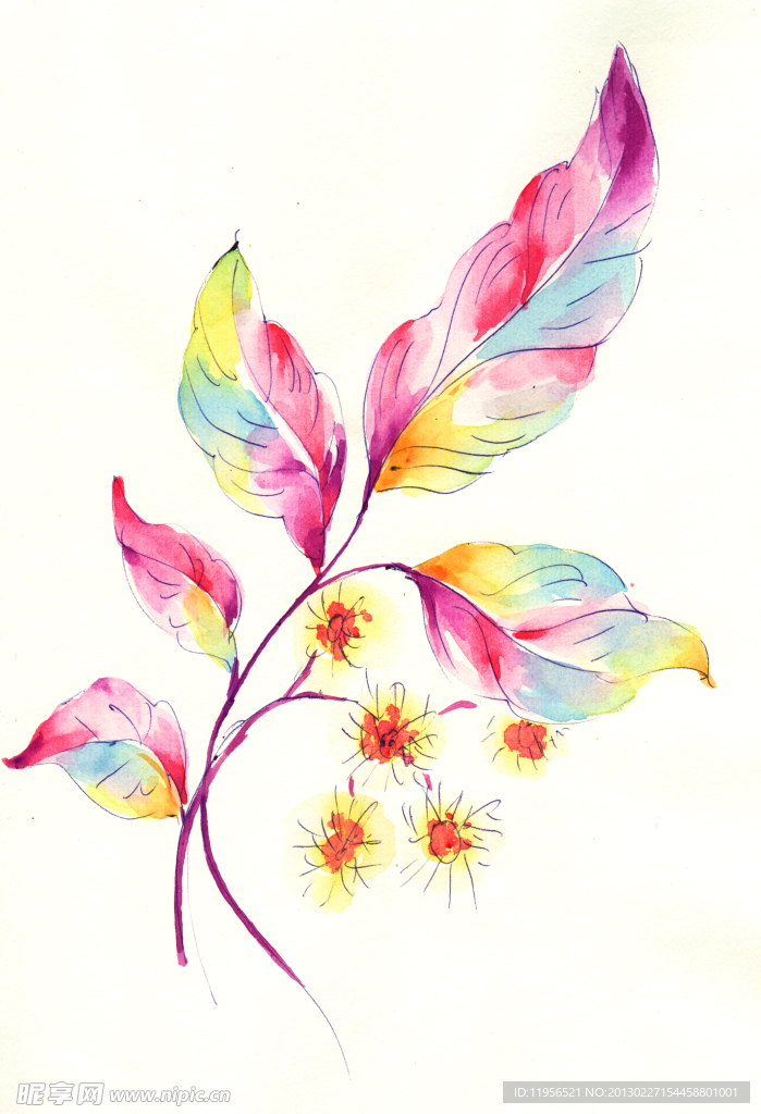 手绘花卉