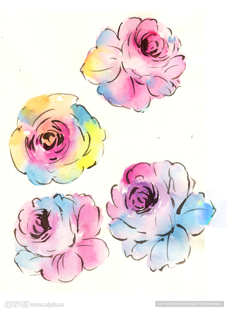 手绘花卉