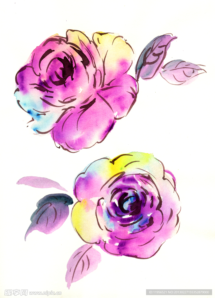 手绘花卉