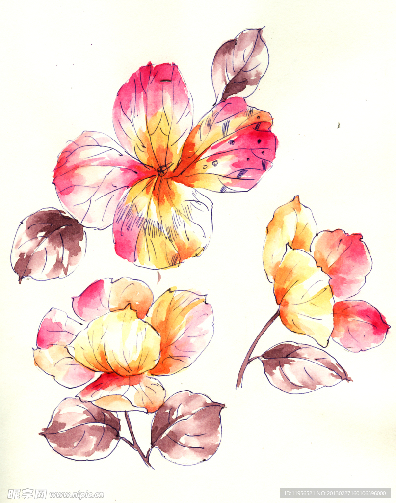 手绘花卉