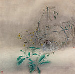 春塘幽禽