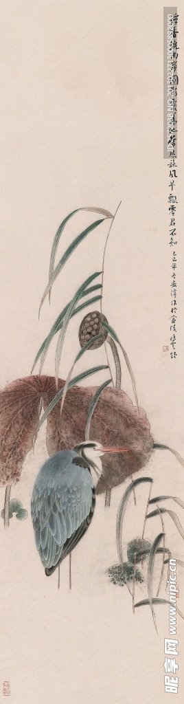 灰鹤