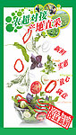菜望板
