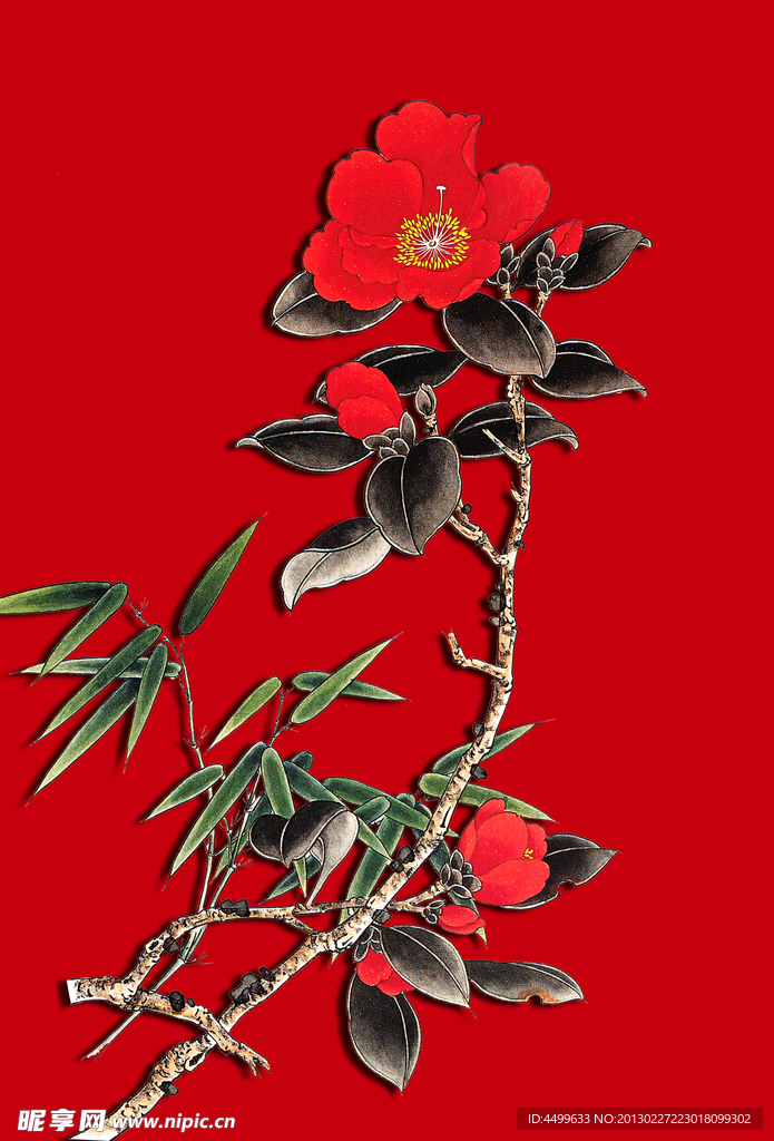 茶花