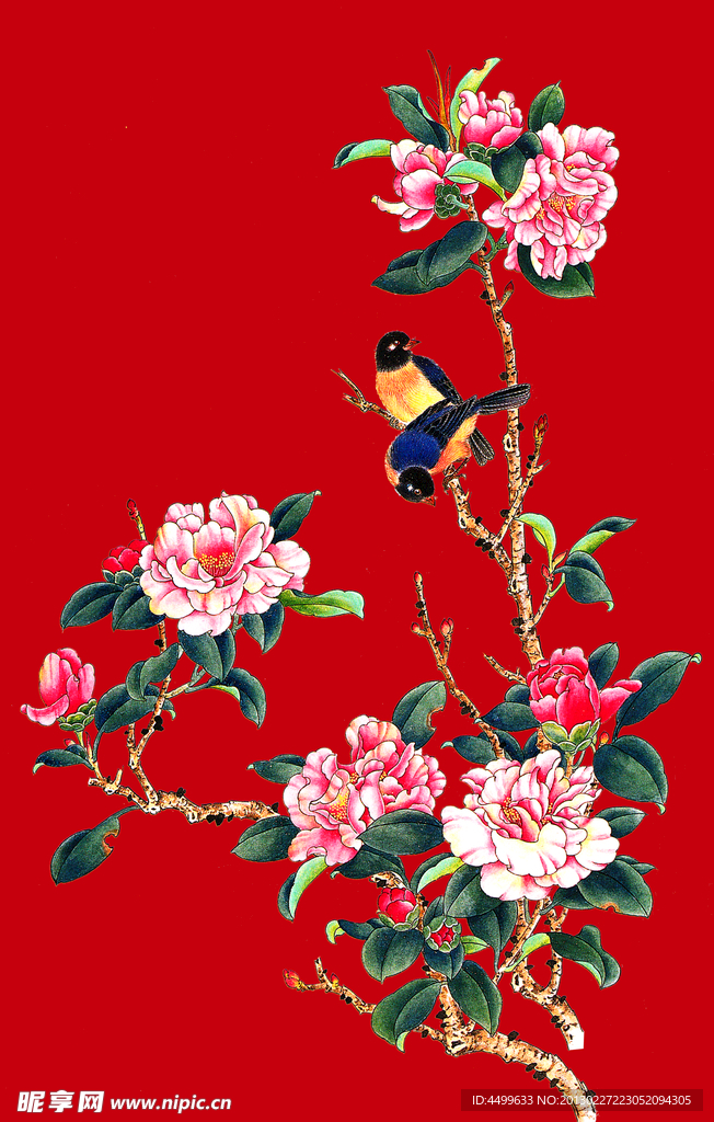 茶花