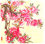 碧桃