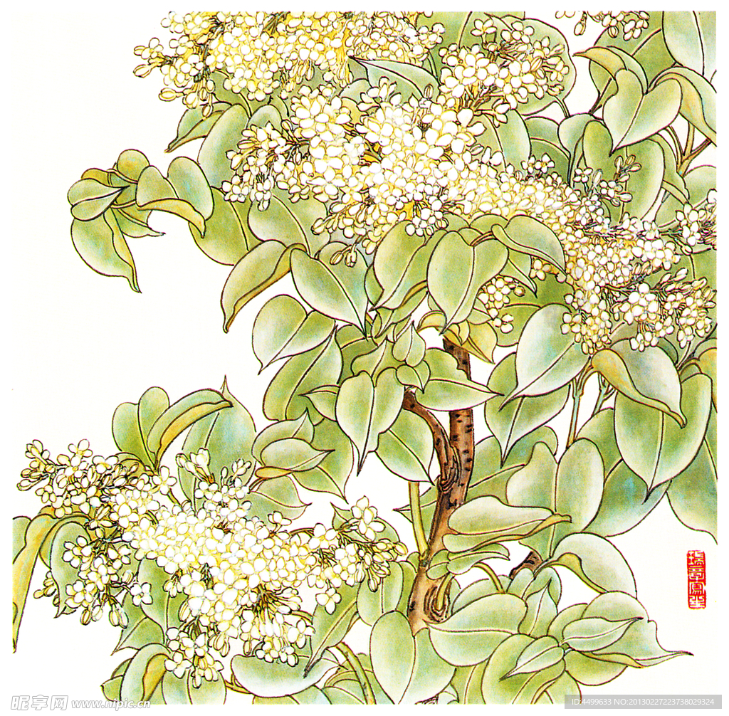 丁香