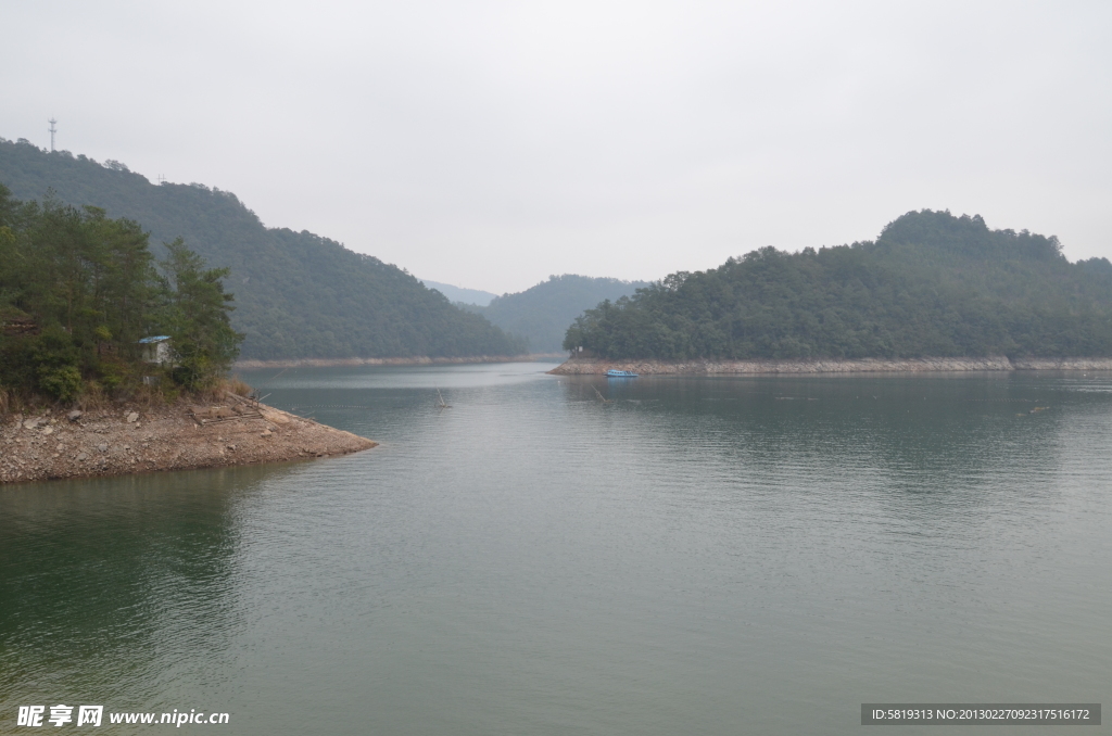 树木园 树枝 大坝 水库