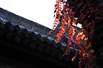 山西平遥古城