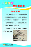 养成教育