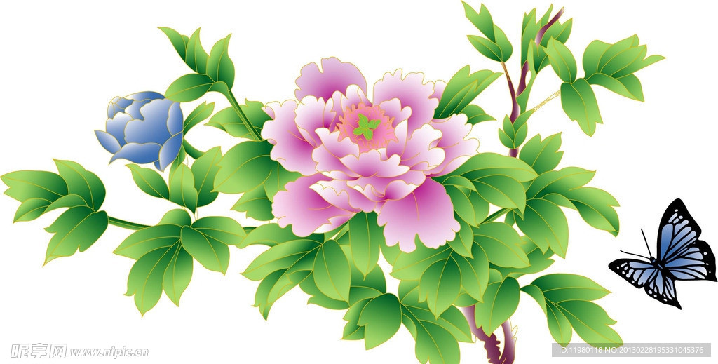 牡丹花