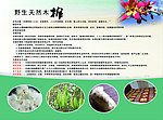 天然棉传单