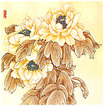 牡丹