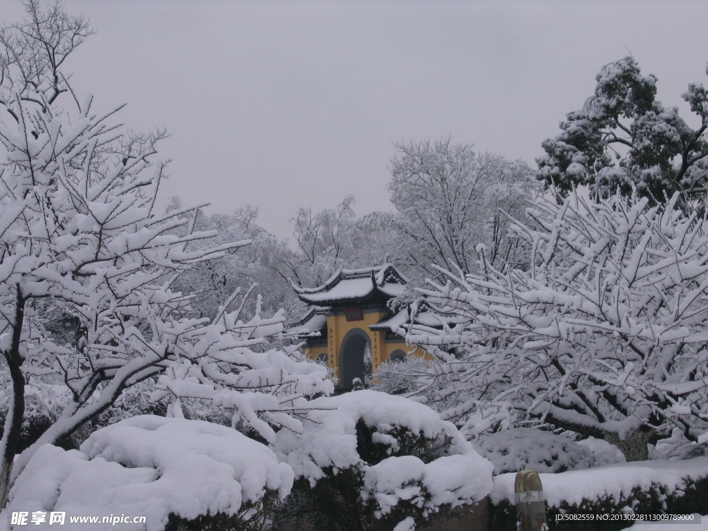 常州红梅公园雪景