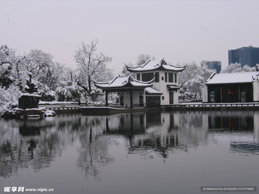 红梅公园雪景