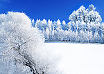 雪景