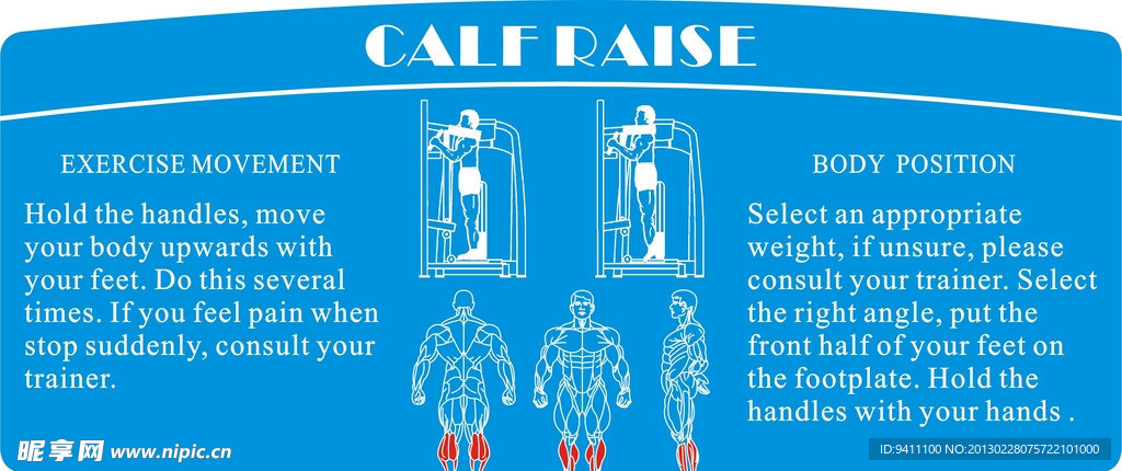 健身器材 肌肉图 小腿训练器