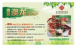 澳龙美食节