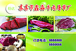 牛肉屠宰厂箱体外包装