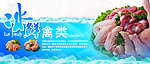 冰鲜禽类