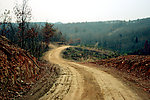山路