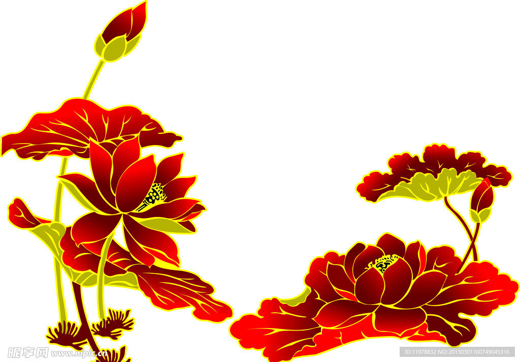荷花