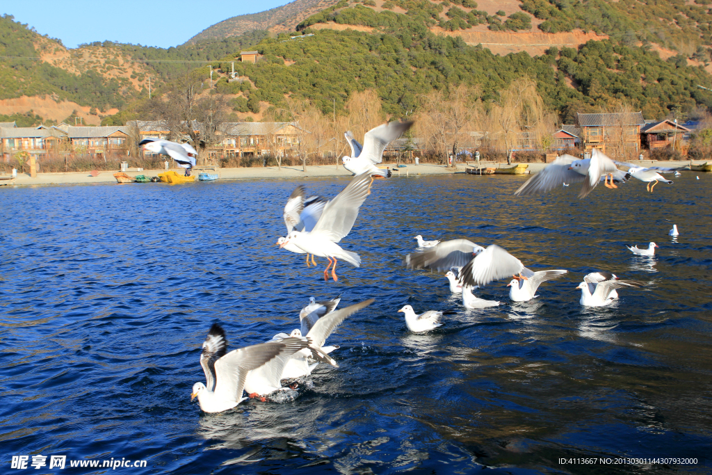 泸沽湖风景