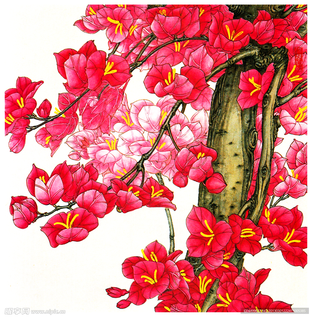 三角花