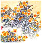 野菊