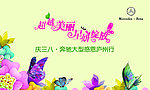 超越美丽 星妍绽放