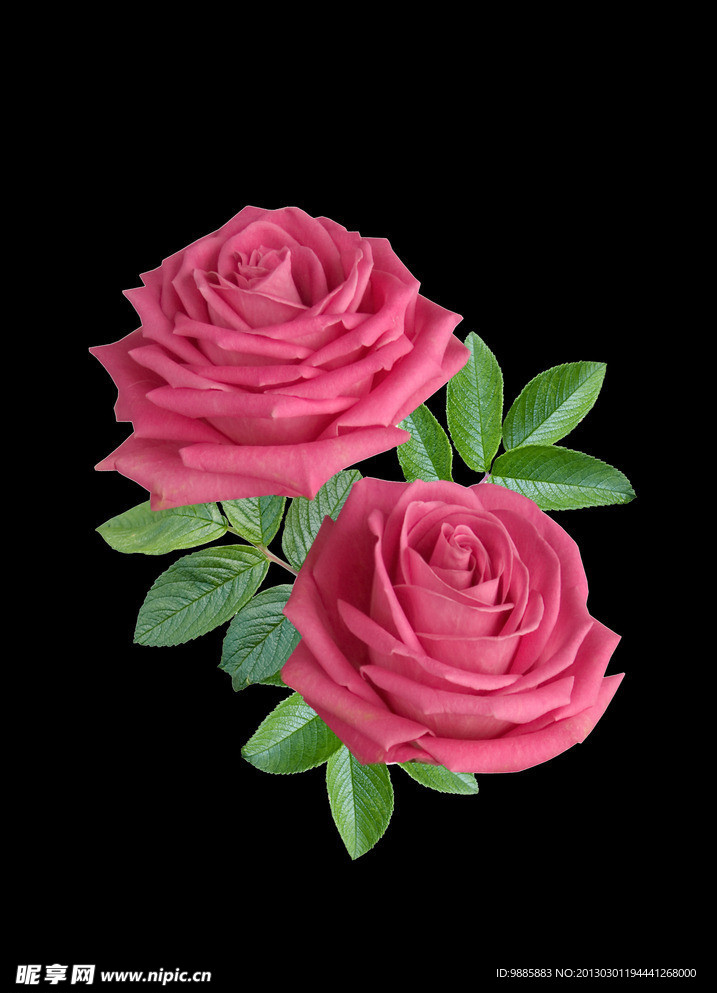 鲜花