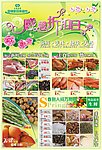 感恩折扣日促销DM