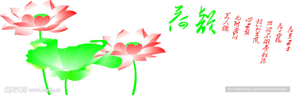 荷花