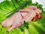 鸭肉摄影