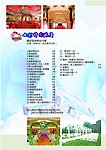 时尚婚庆 宣传单