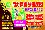 奇力康