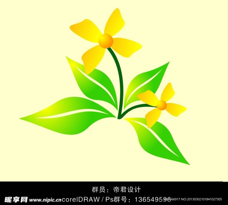 手绘 花