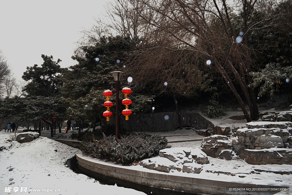 公园的雪