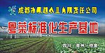 蔬菜基地